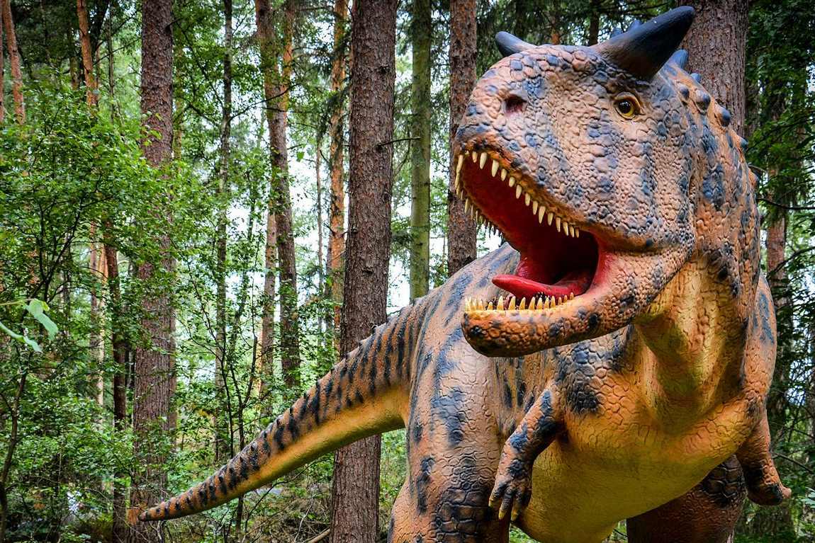 парк динозавров мюнхехаген фото 2