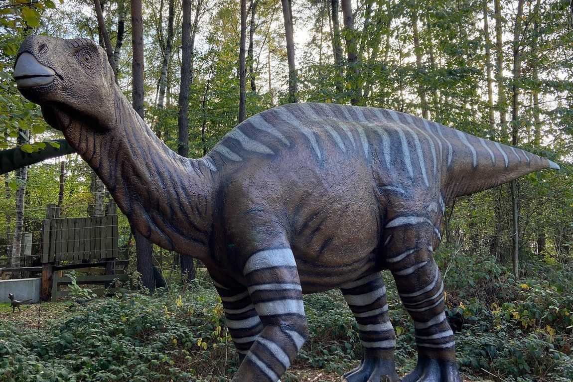 парк динозавров мюнхехаген фото 3