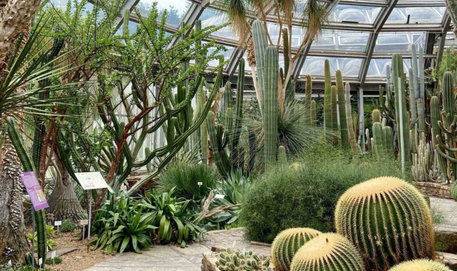 Ботанический Сад Берлина