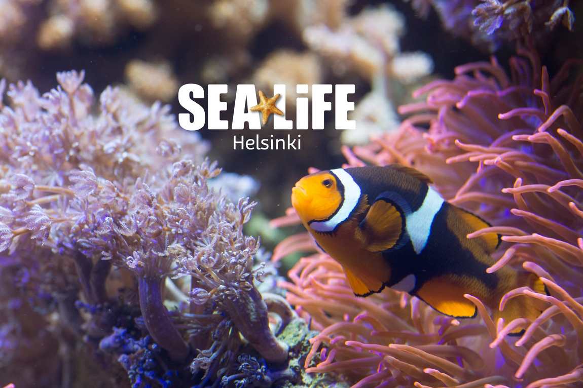 sea life helsinki фото 1