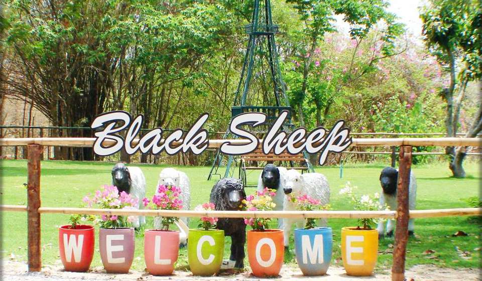Овечья Ферма Black Sheep Fun Farm (ЗАКРЫТО)