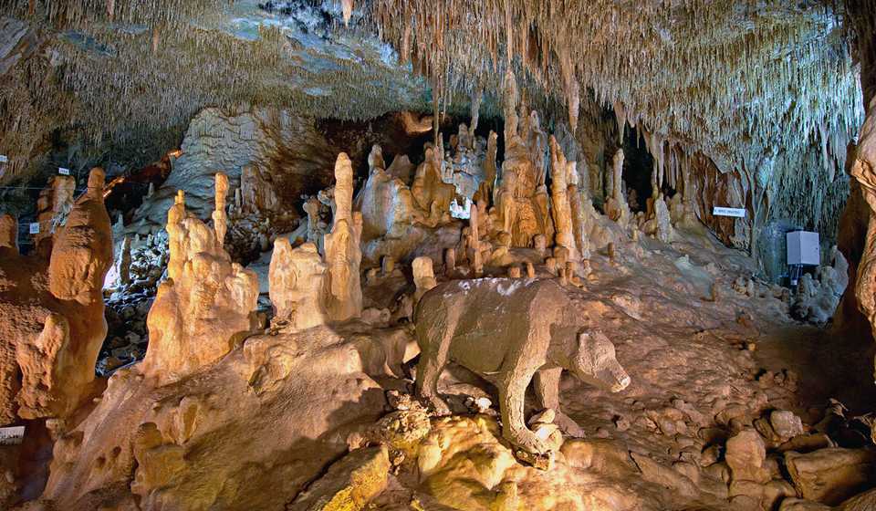 Пещера Петралона (ВРЕМЕННО ЗАКРЫТА)
