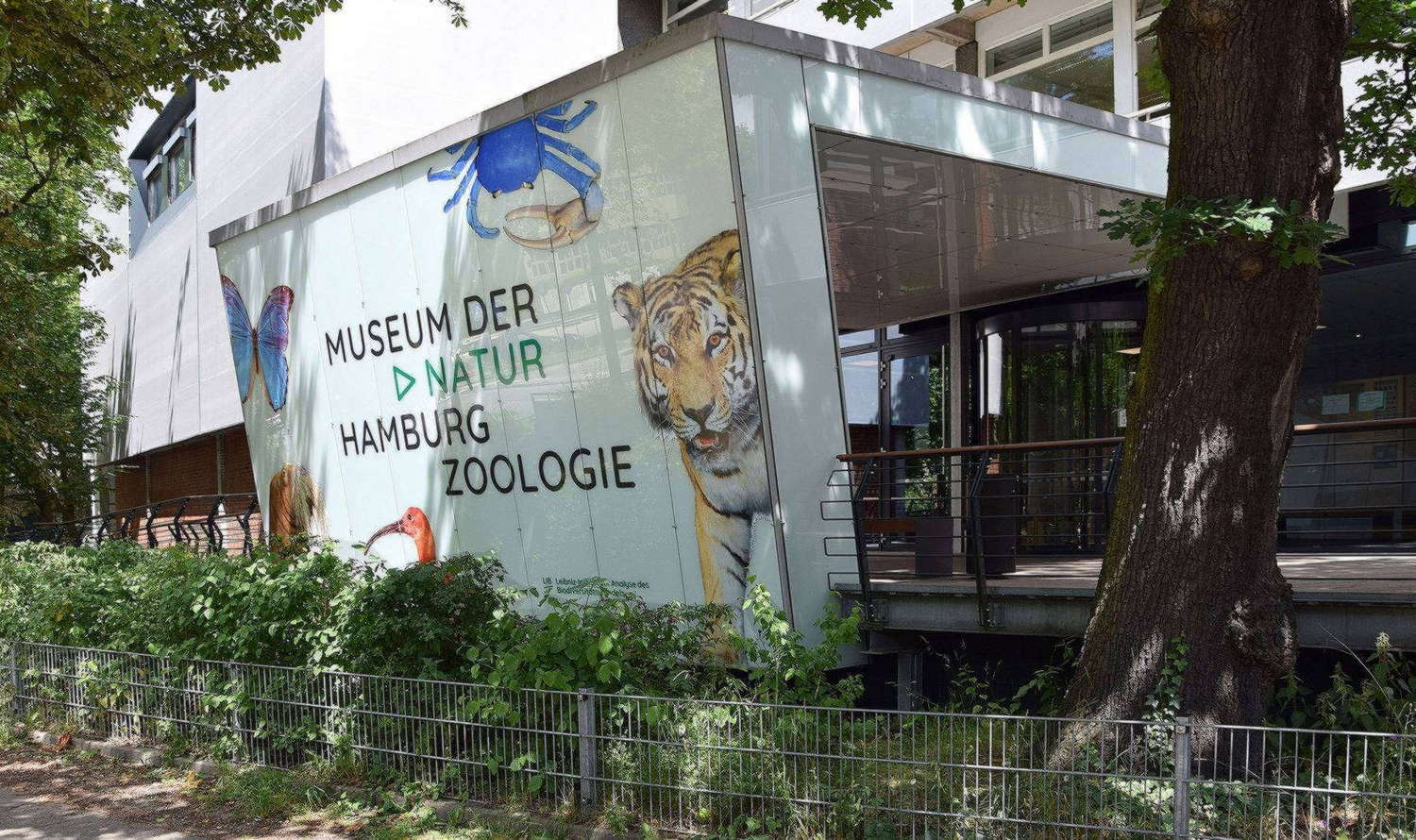 Зоологический Музей Гамбурга