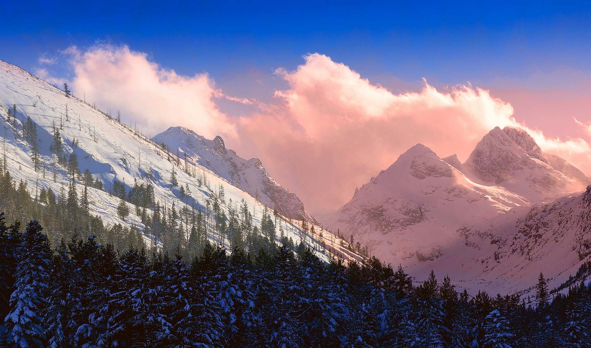 Болгария в январе: начало горнолыжного сезона