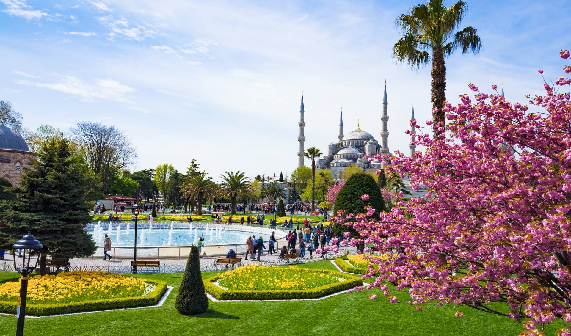 Турция в марте: цветущие сады вместо снега