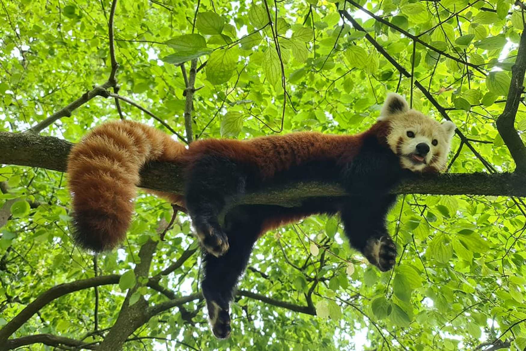 Aachener Tierpark Euregiozoo