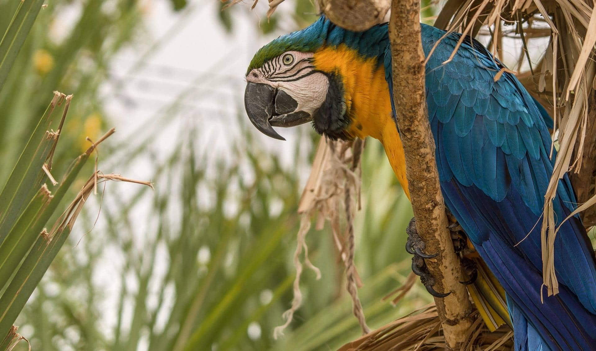 Abensberg Bird Park