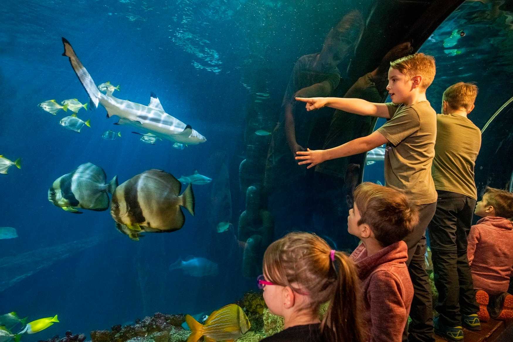 Sea Life Oberhausen photo 1