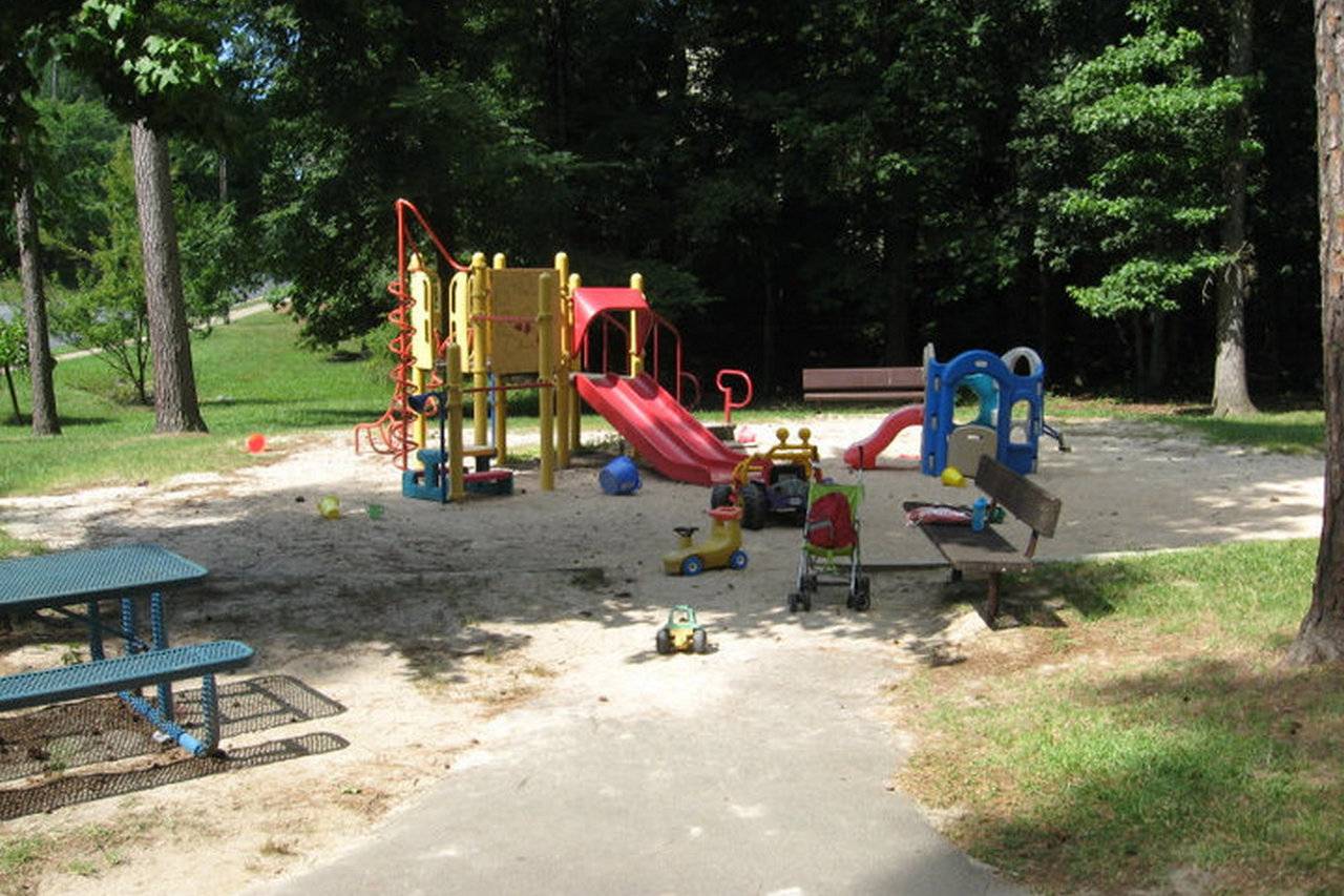 Bog Garden at Benjamin Park photo 1