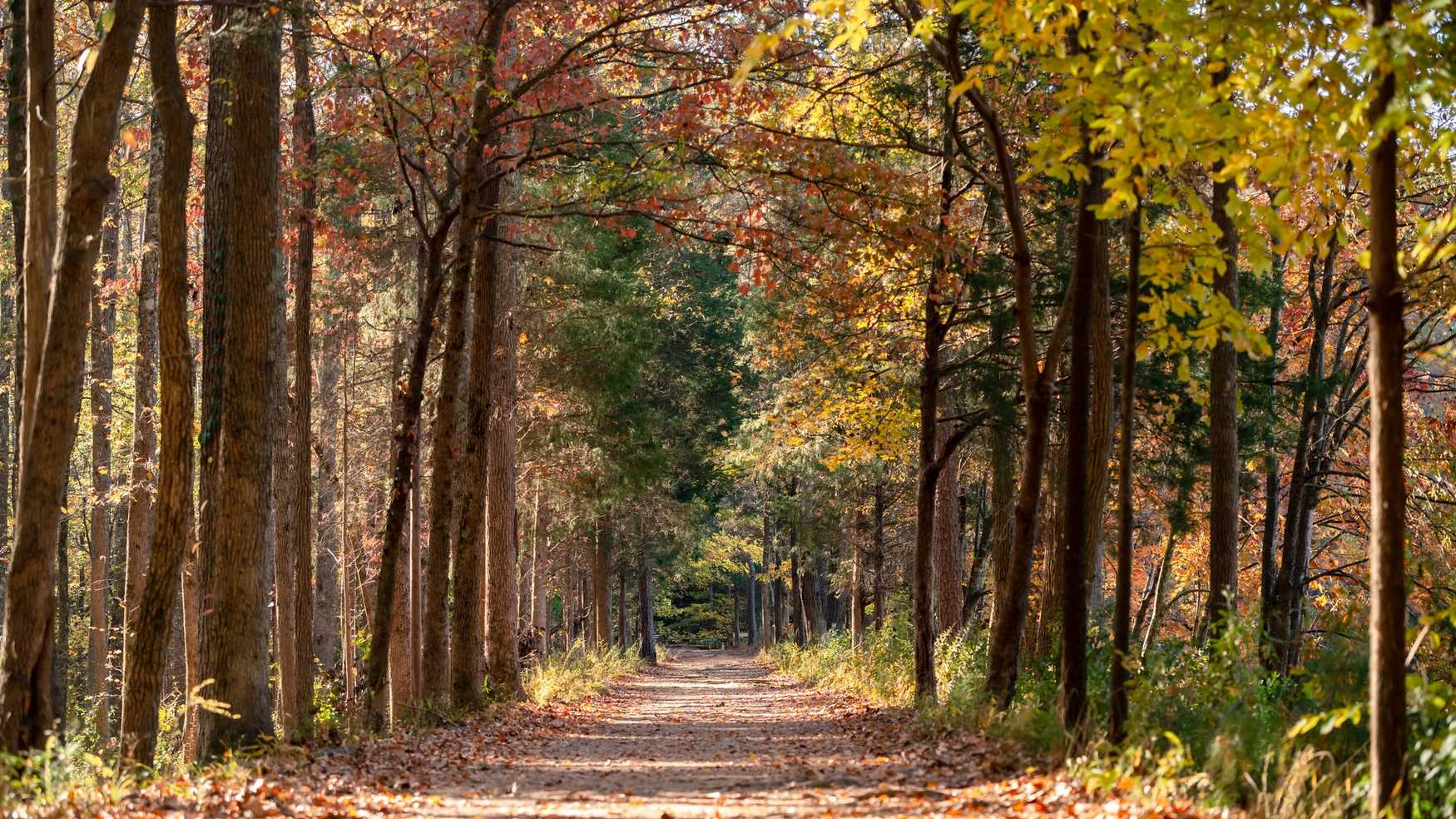 Anne Springs Close Greenway