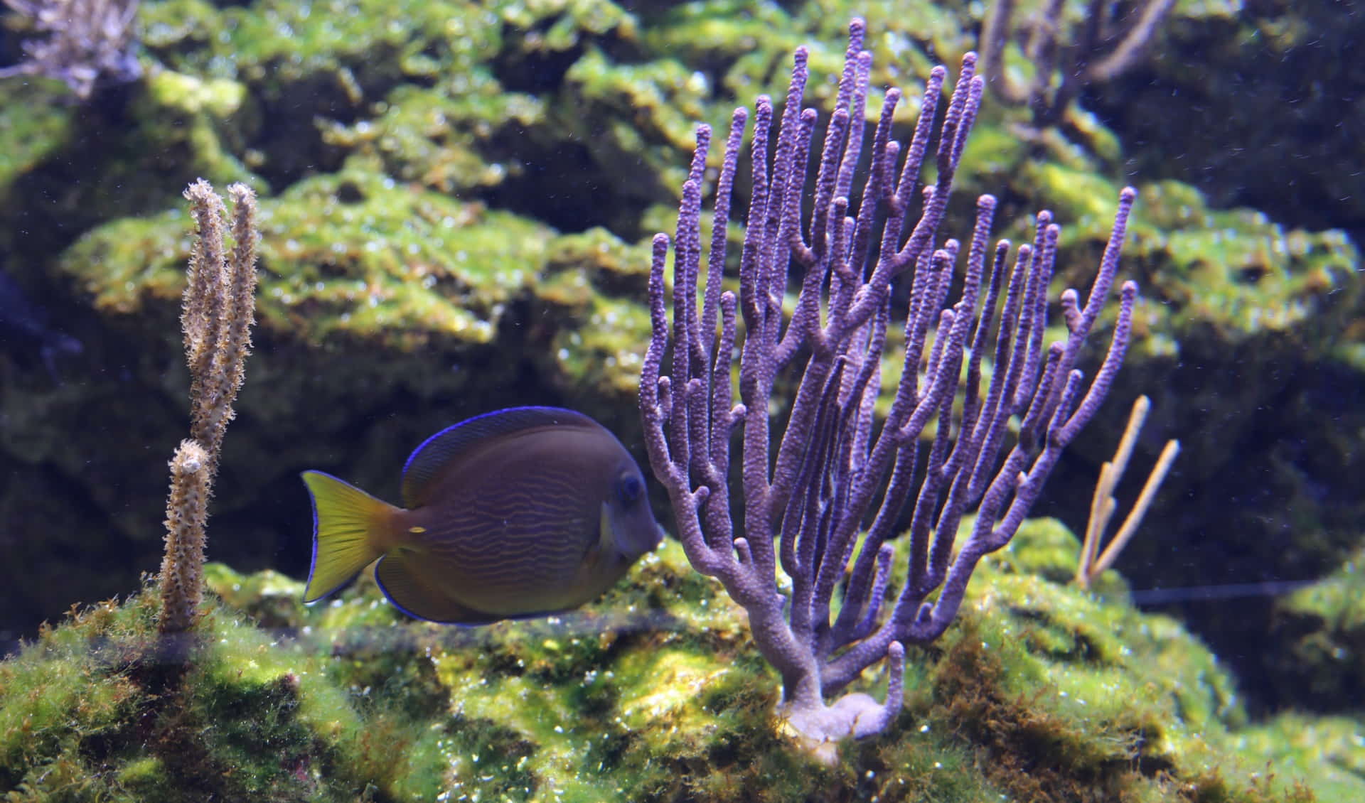 North Carolina Aquarium on Roanoke Island