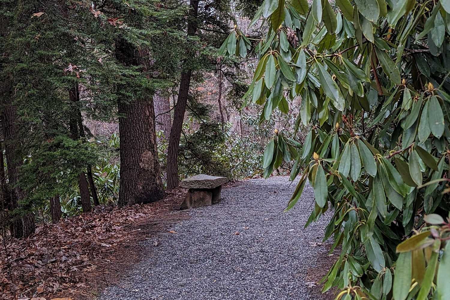 Serenity Garden photo 1