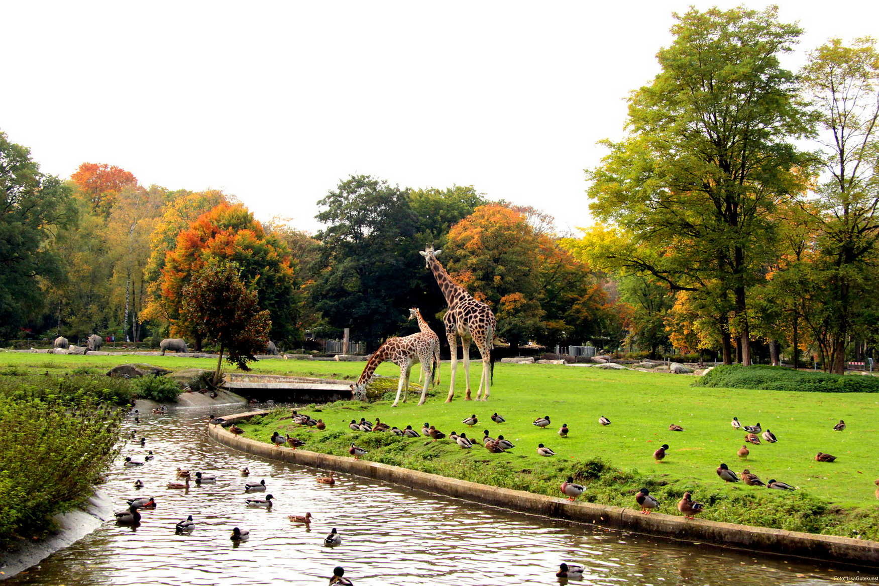 Augsburg Zoo