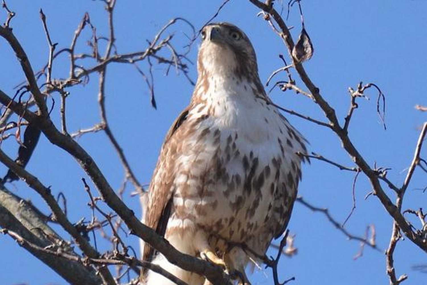 Wing Haven Gardens and Bird Sanctuary photo 1