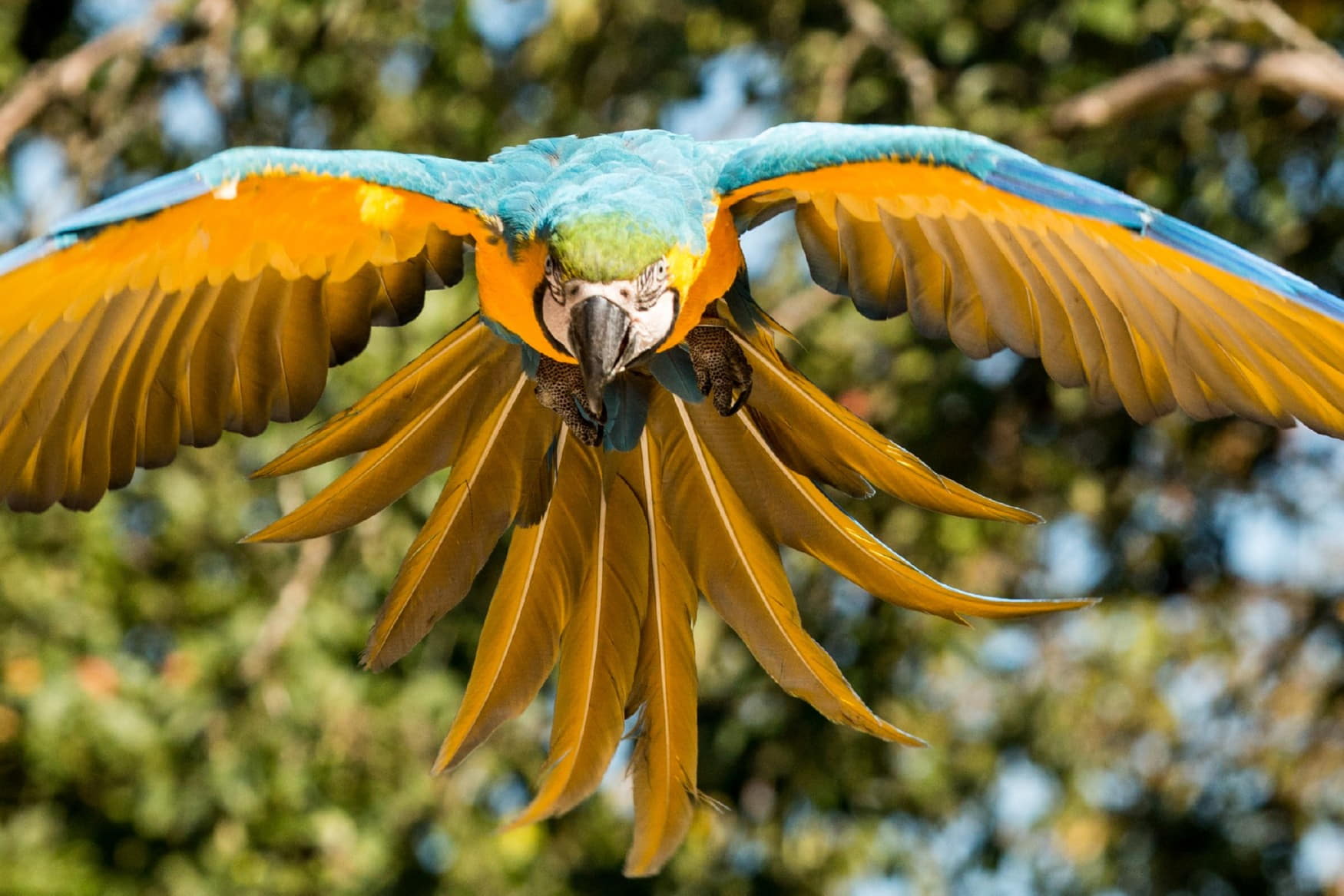 Bird Park Heiligenkirchen photo 1