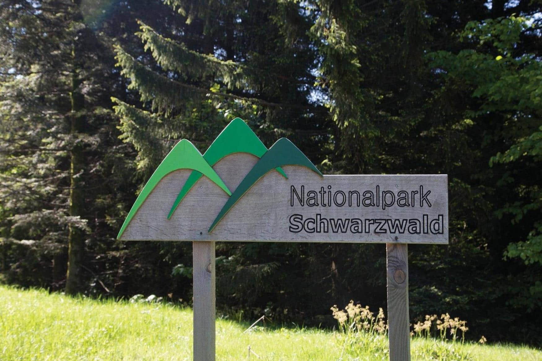 Black Forest National Park photo 1