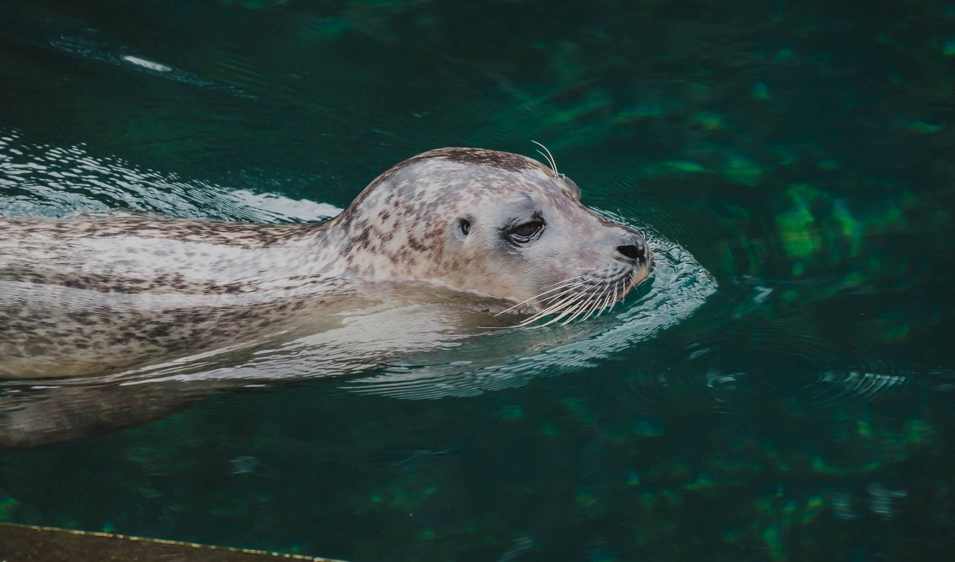 Bochum Zoo