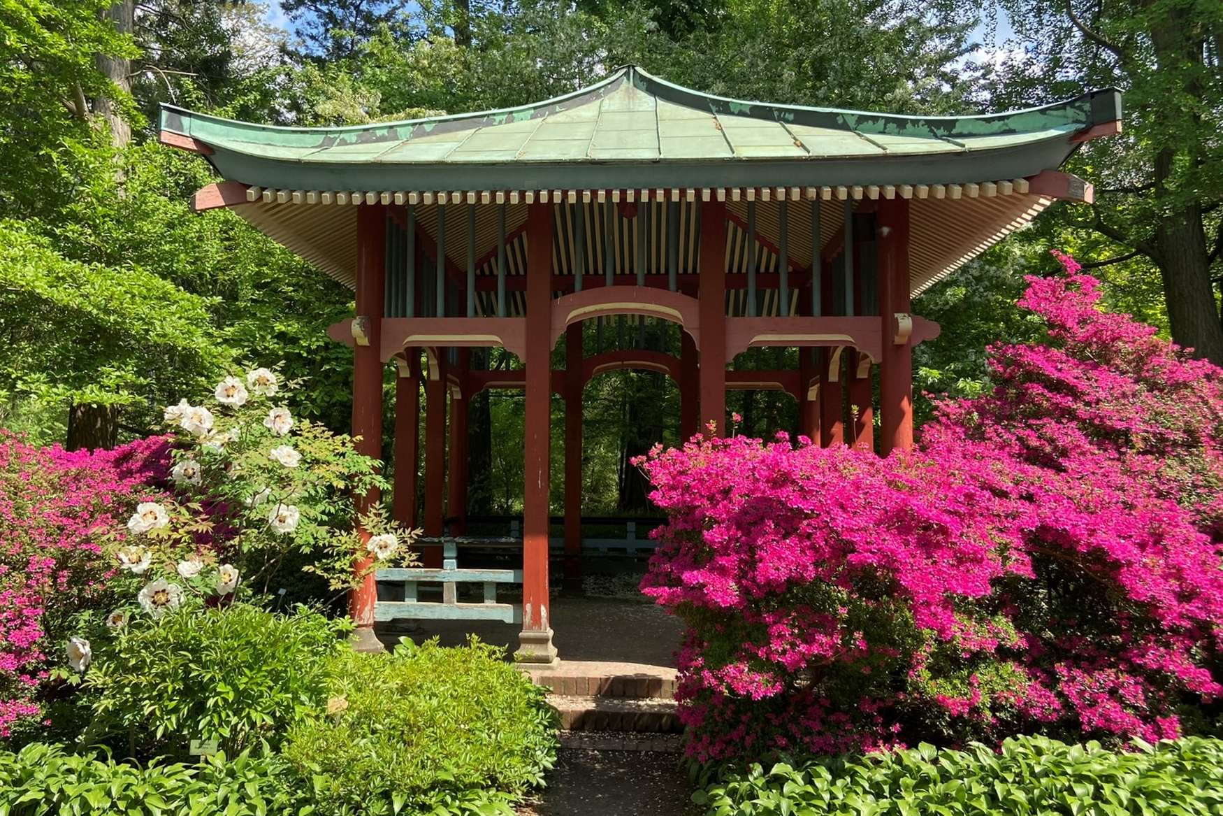 Botanical Garden of Berlin Kidpassage Family Review