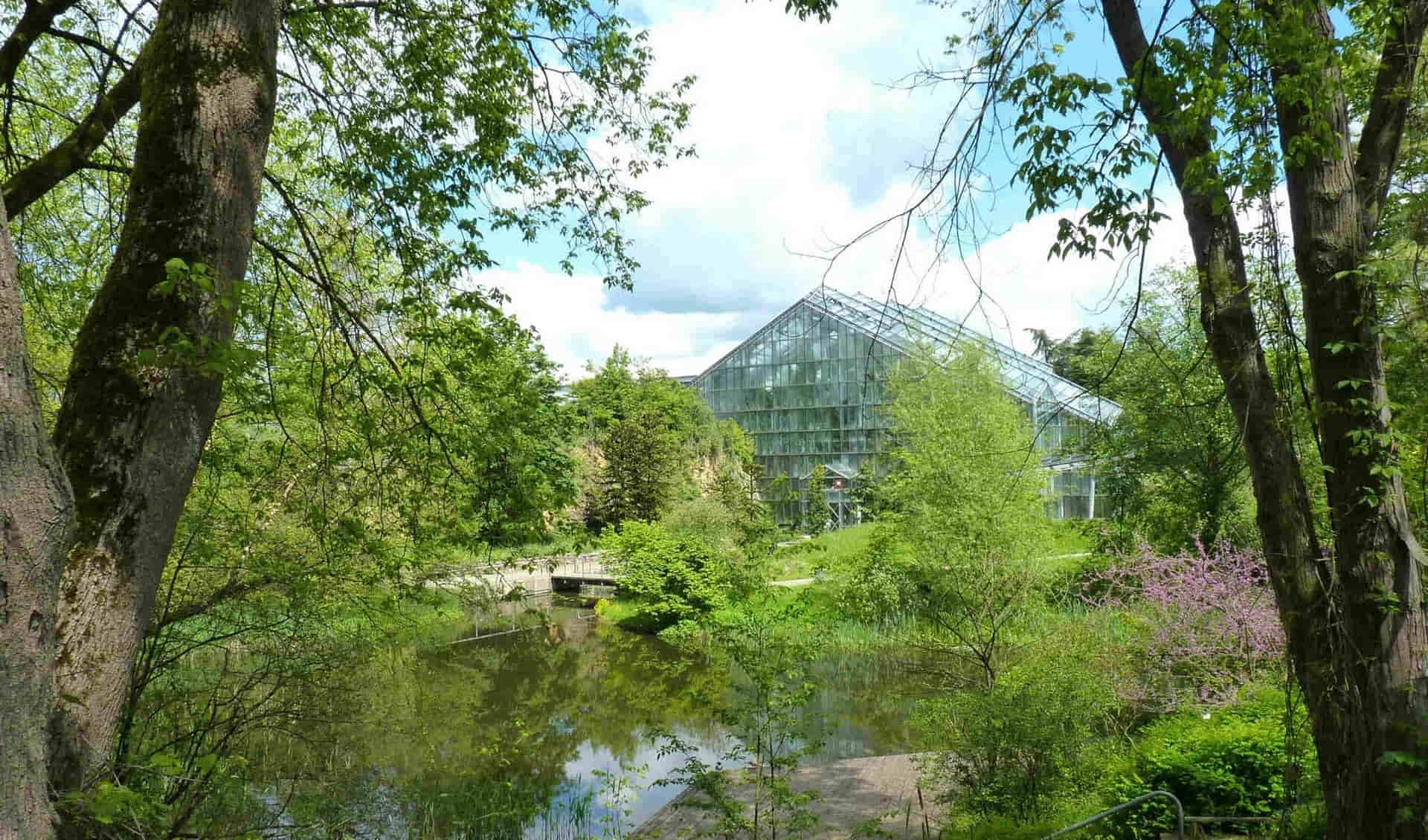 Botanical Garden Osnabrück