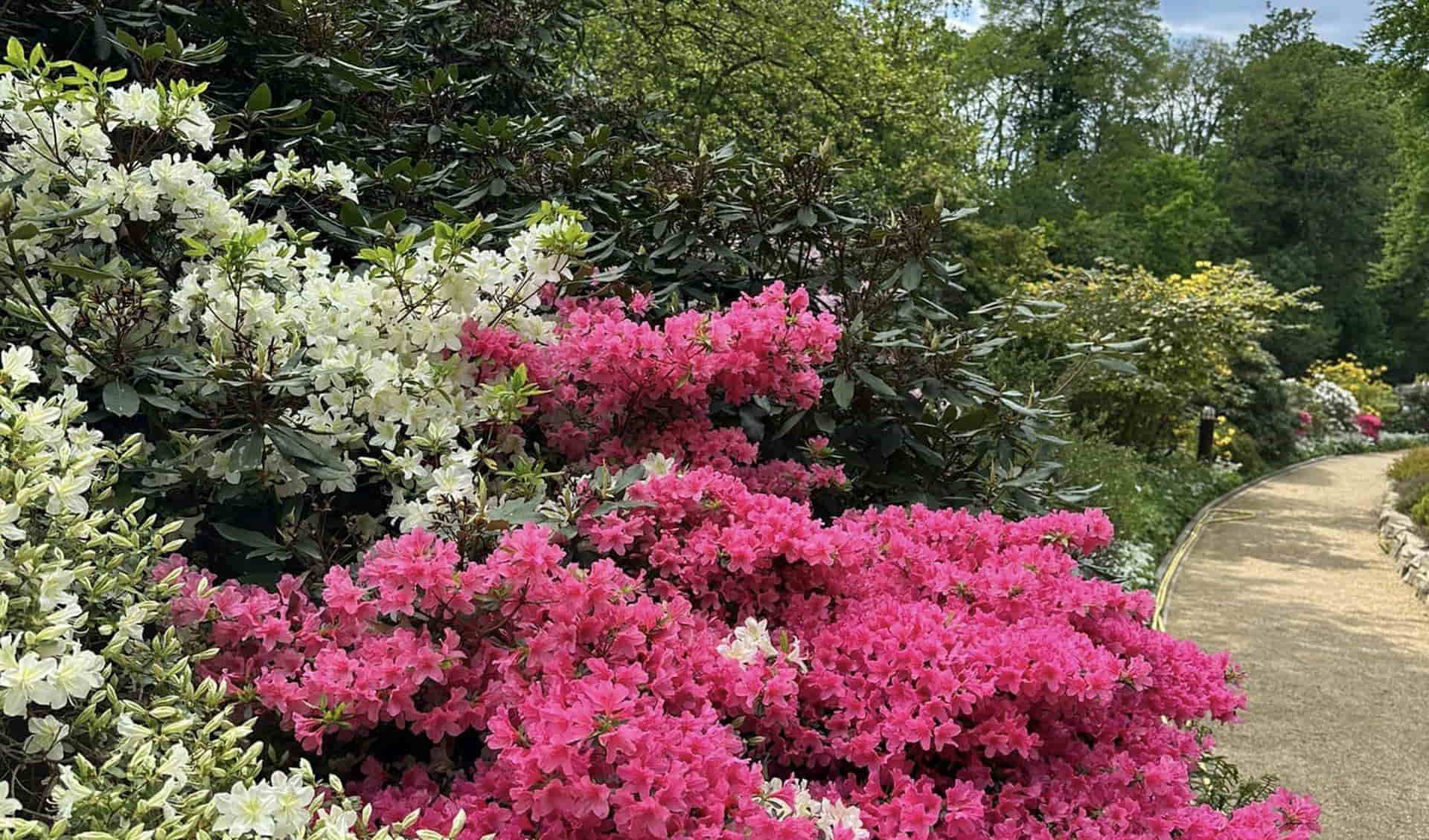 Botanical Garden of the Technical University of Braunschweig