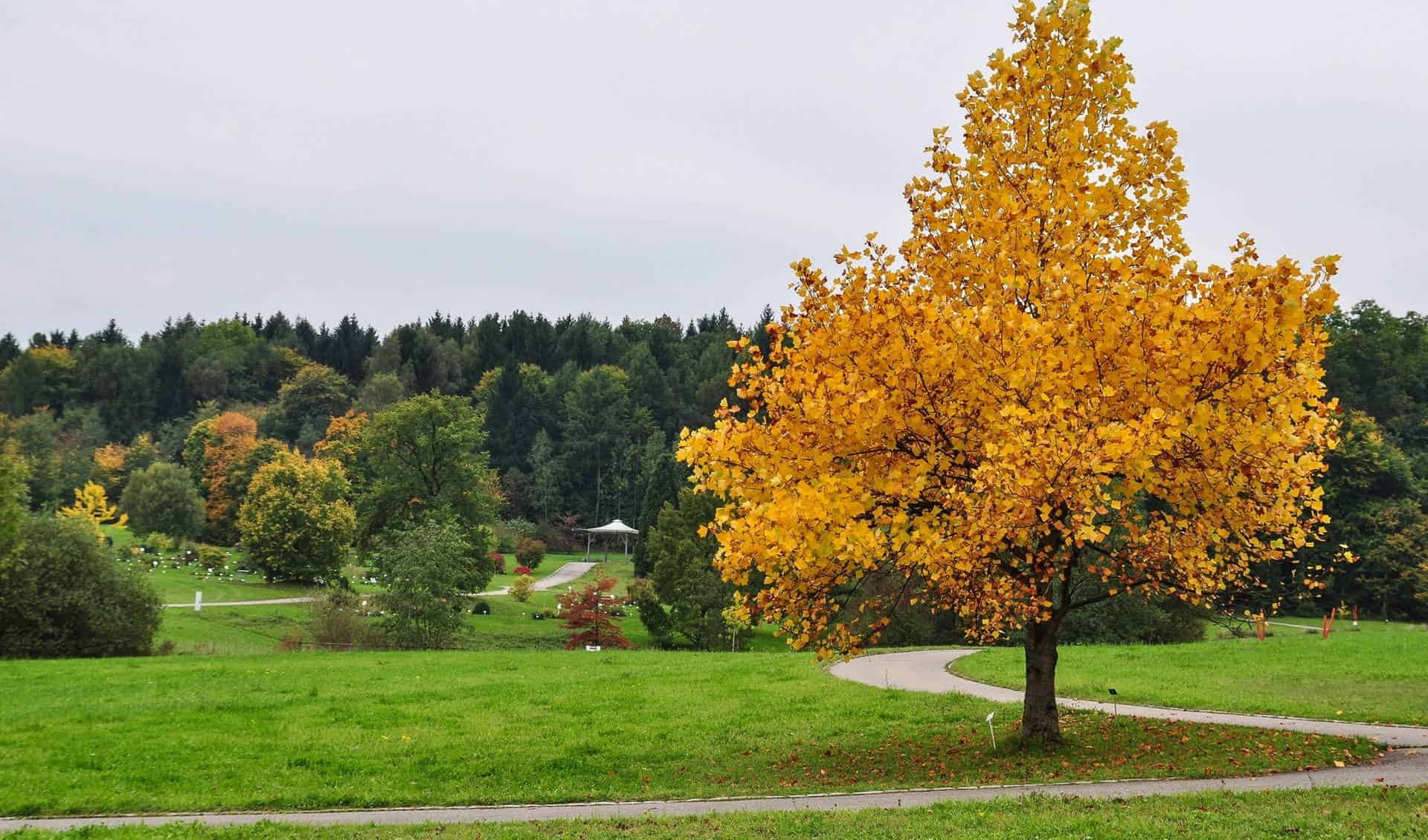 Botanical Garden of the University of Ulm