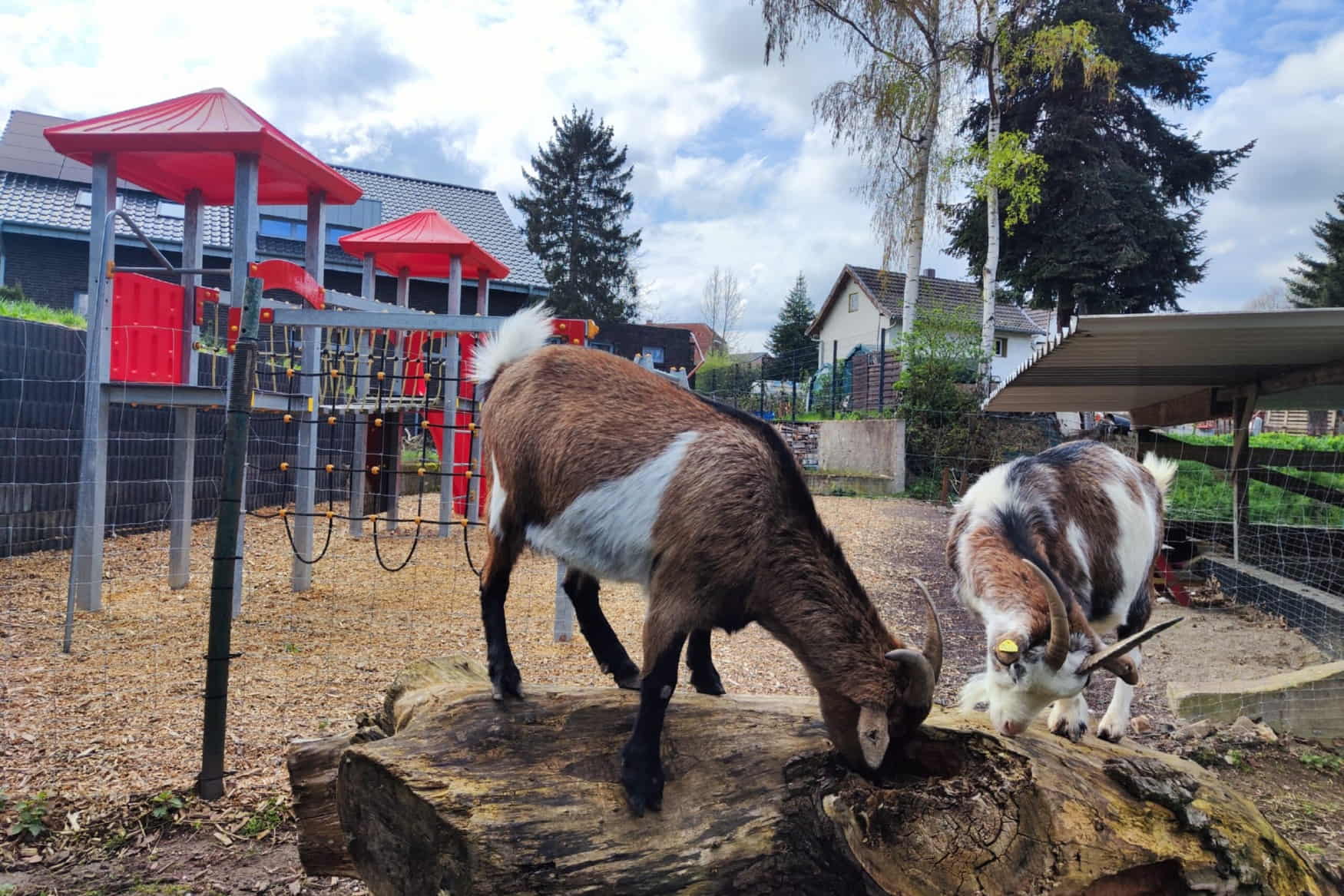 Burgzwergen Farm photo 1