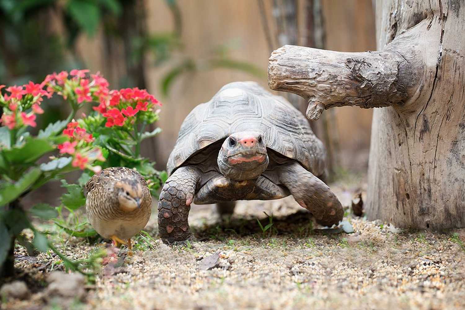 Zoo Neuwied фото 1