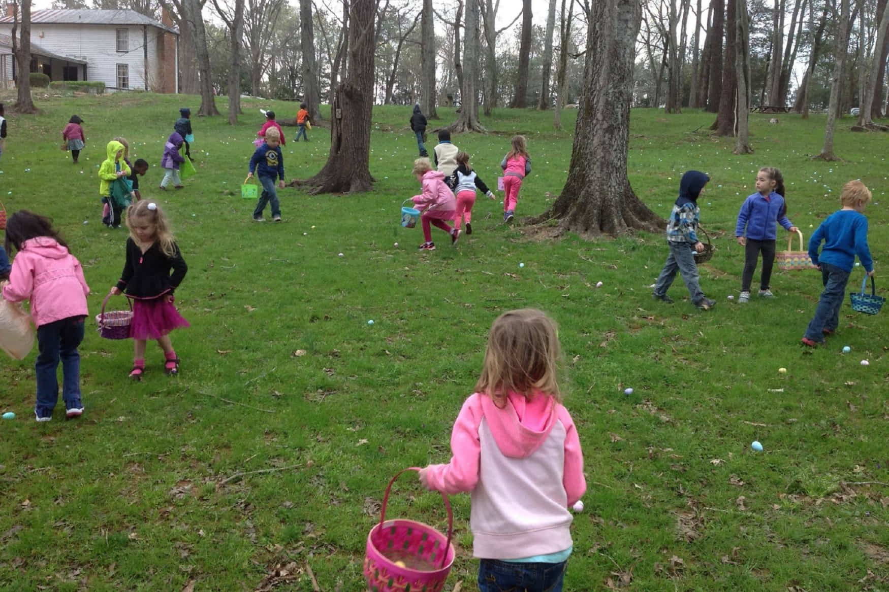 Campus Hills Park photo 1