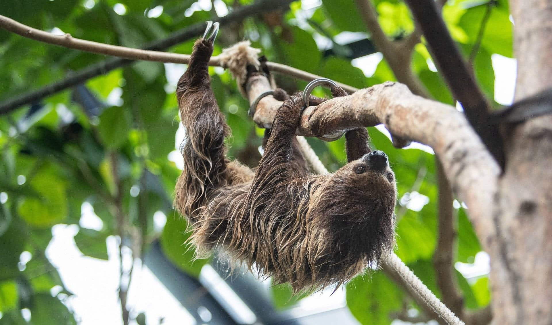 Chemnitz Zoo