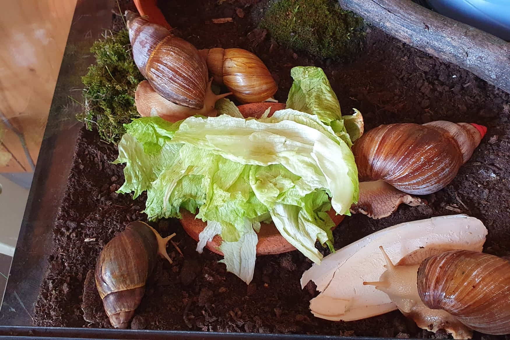 Child and Youth Farm Ramersdorf photo 1