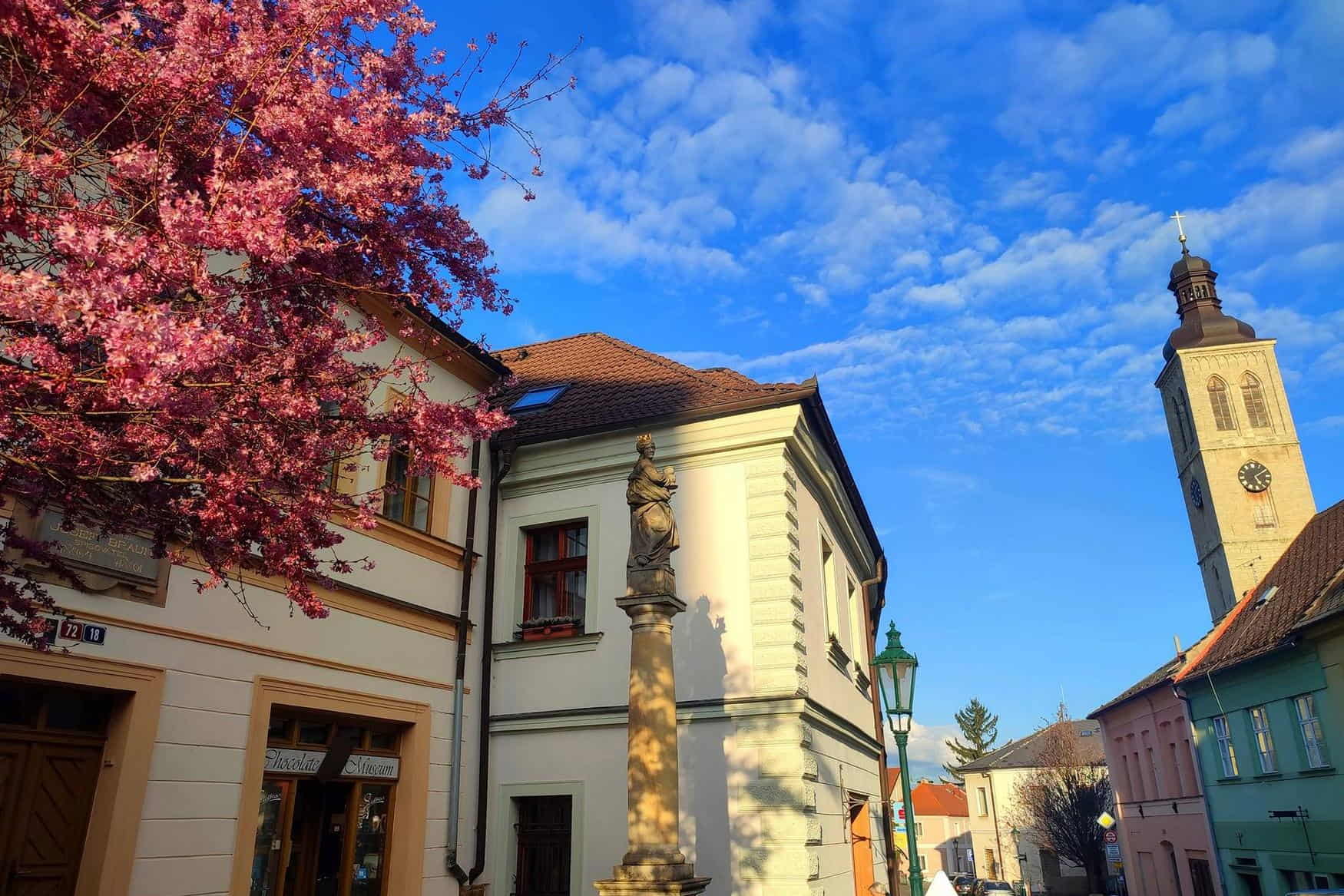 Chocolate Museum photo 1