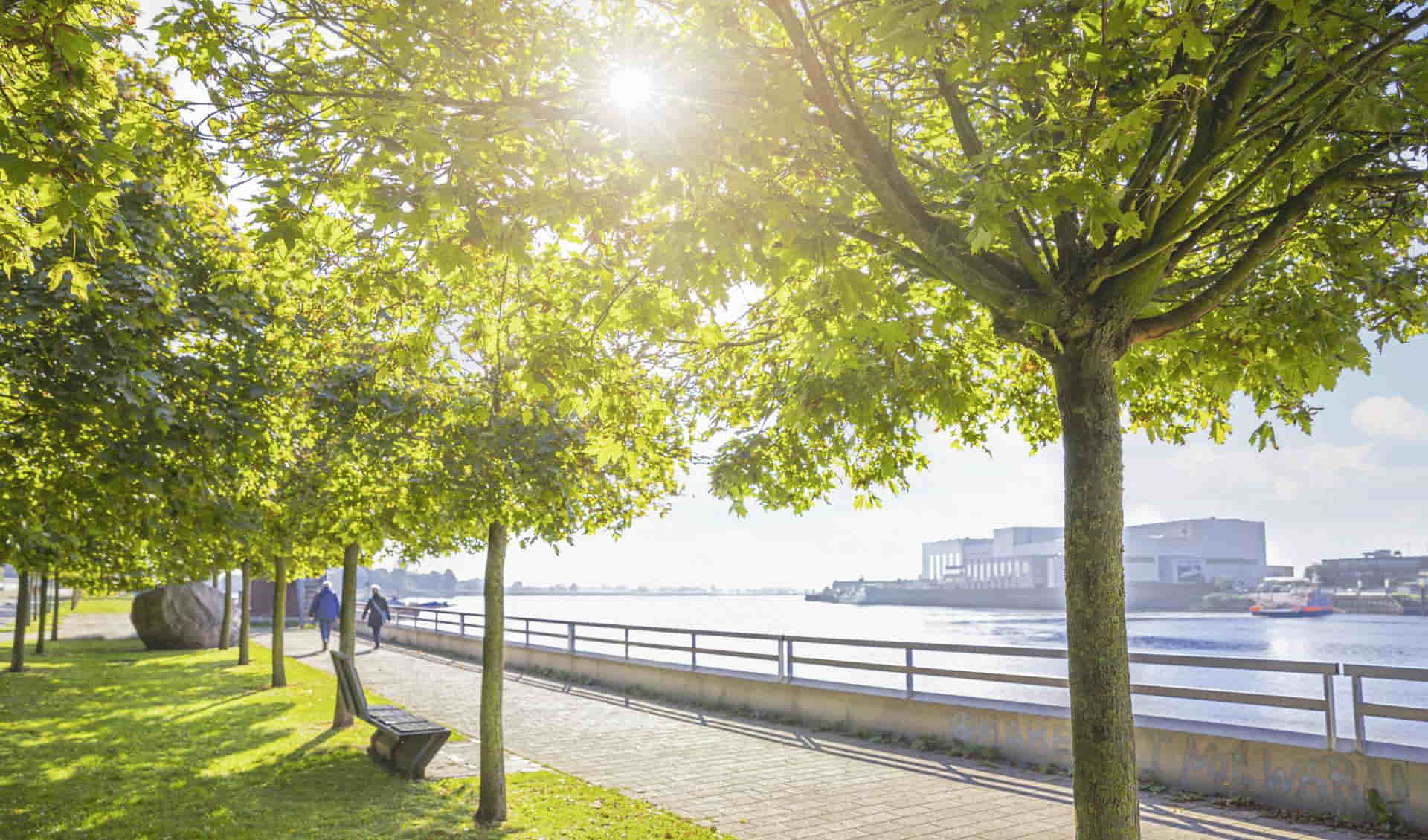 City Garden Vegesack