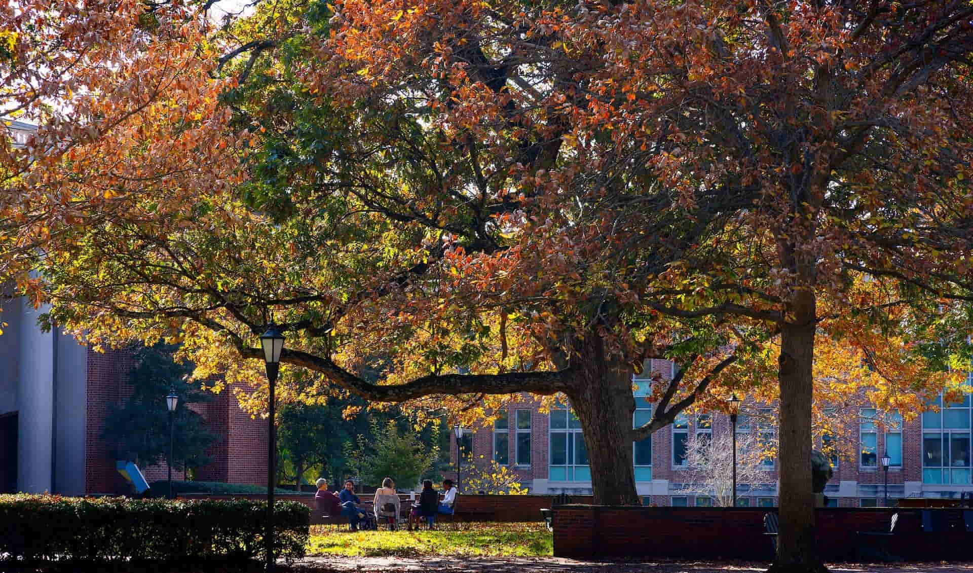 Davidson College Arboretum