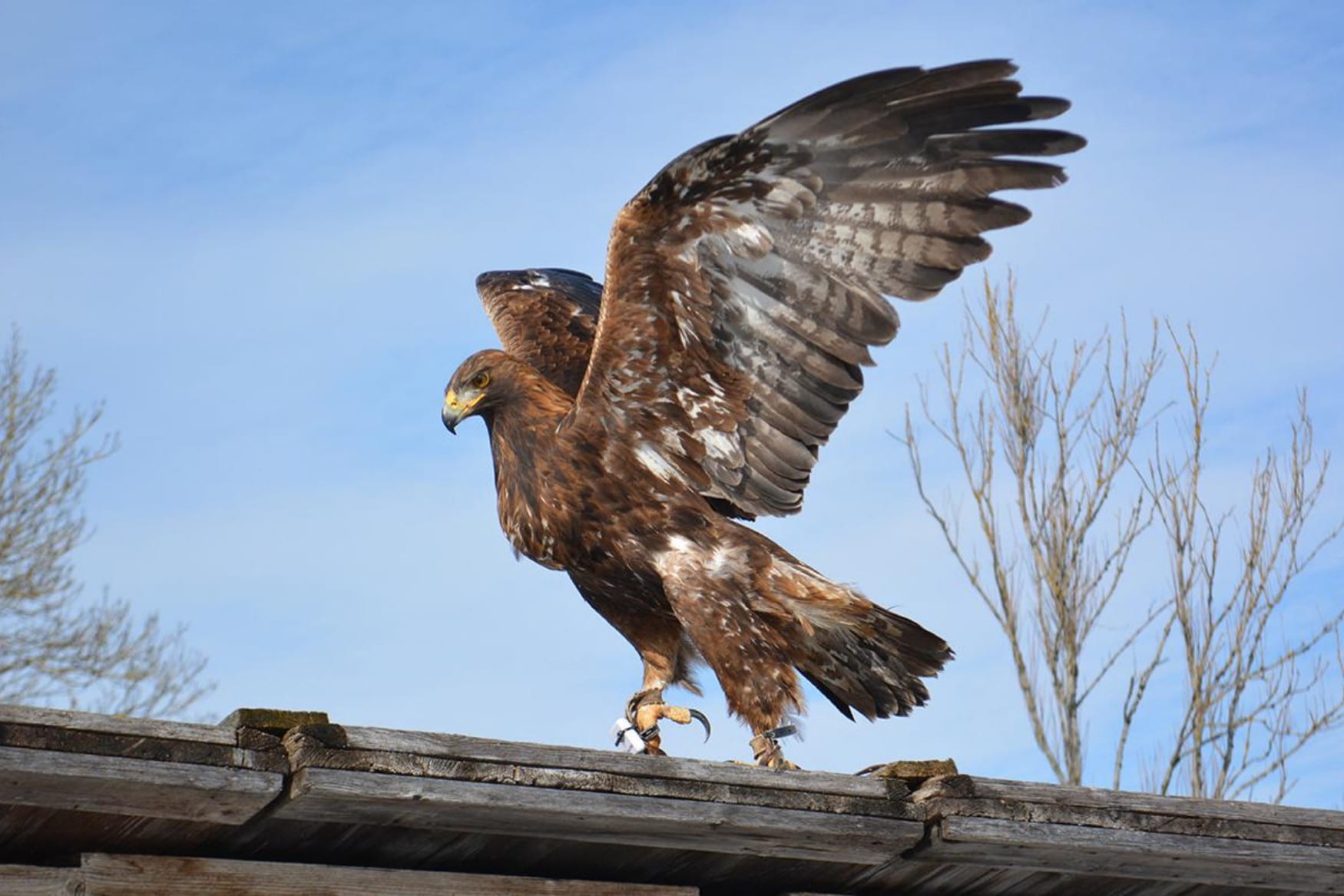 Olching Bird Park фото 1