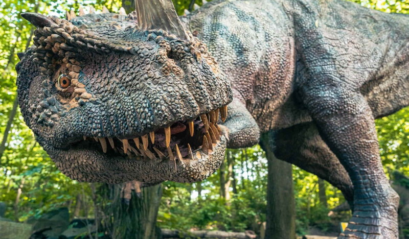 Dinopark Liberec Plaza