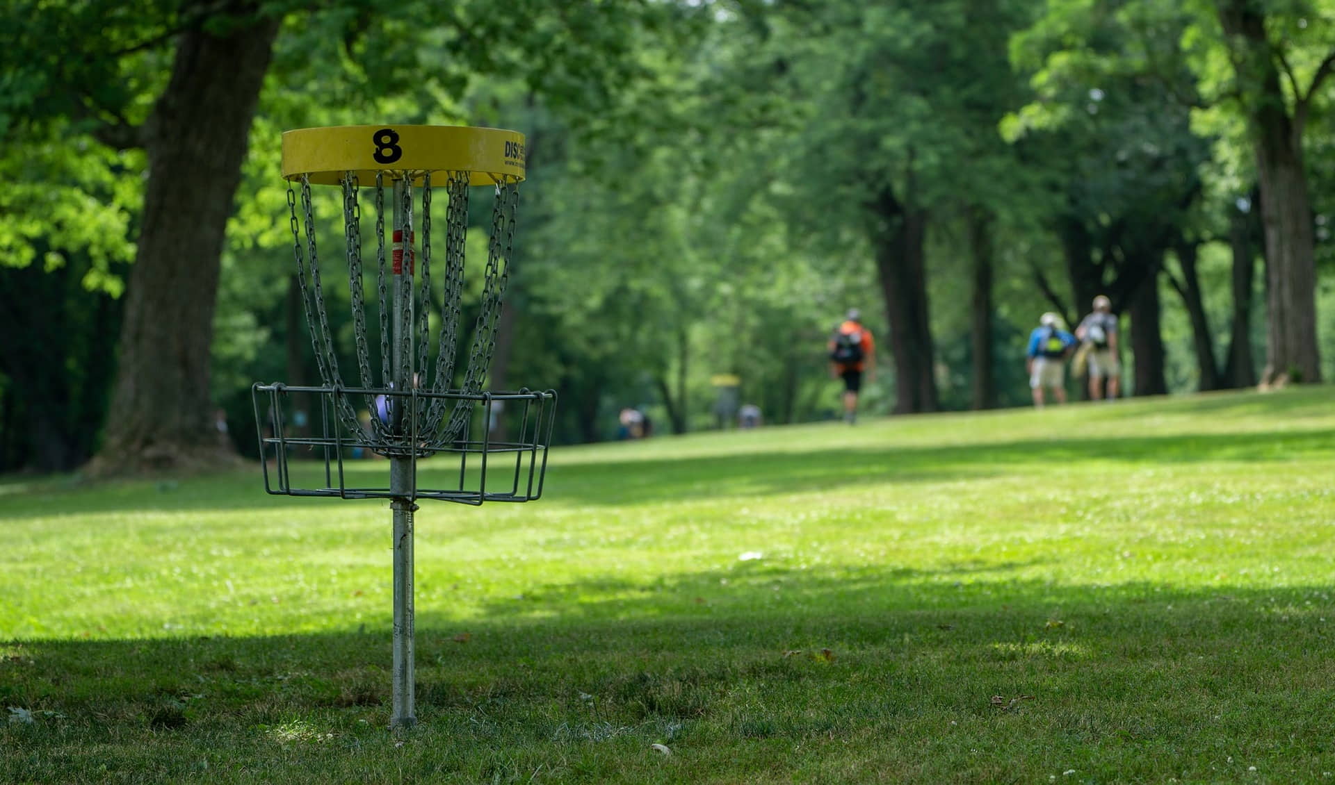 Discgolf Park Ladronka