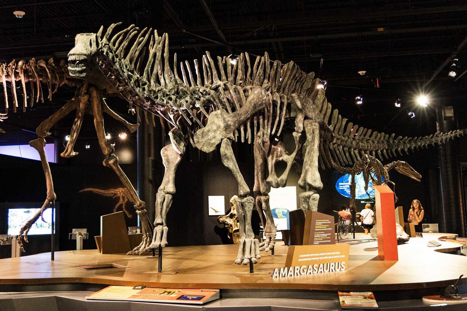 Discovery Place Science photo 1