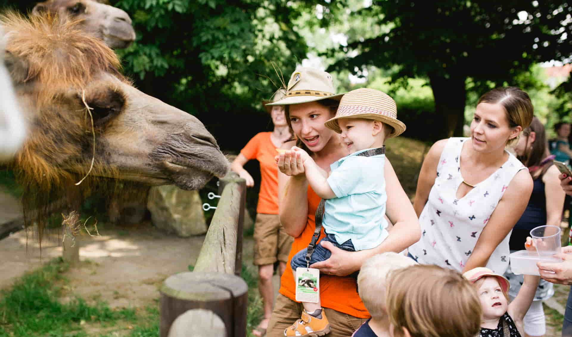 Dresden Zoo