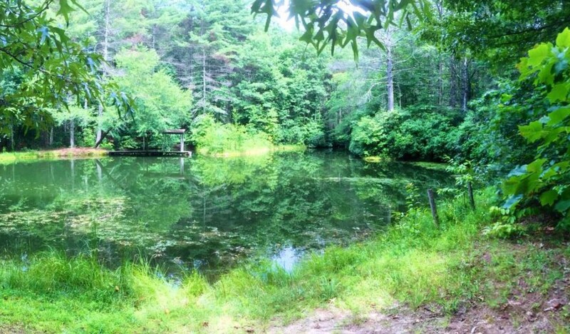 DuPont State Recreational Forest