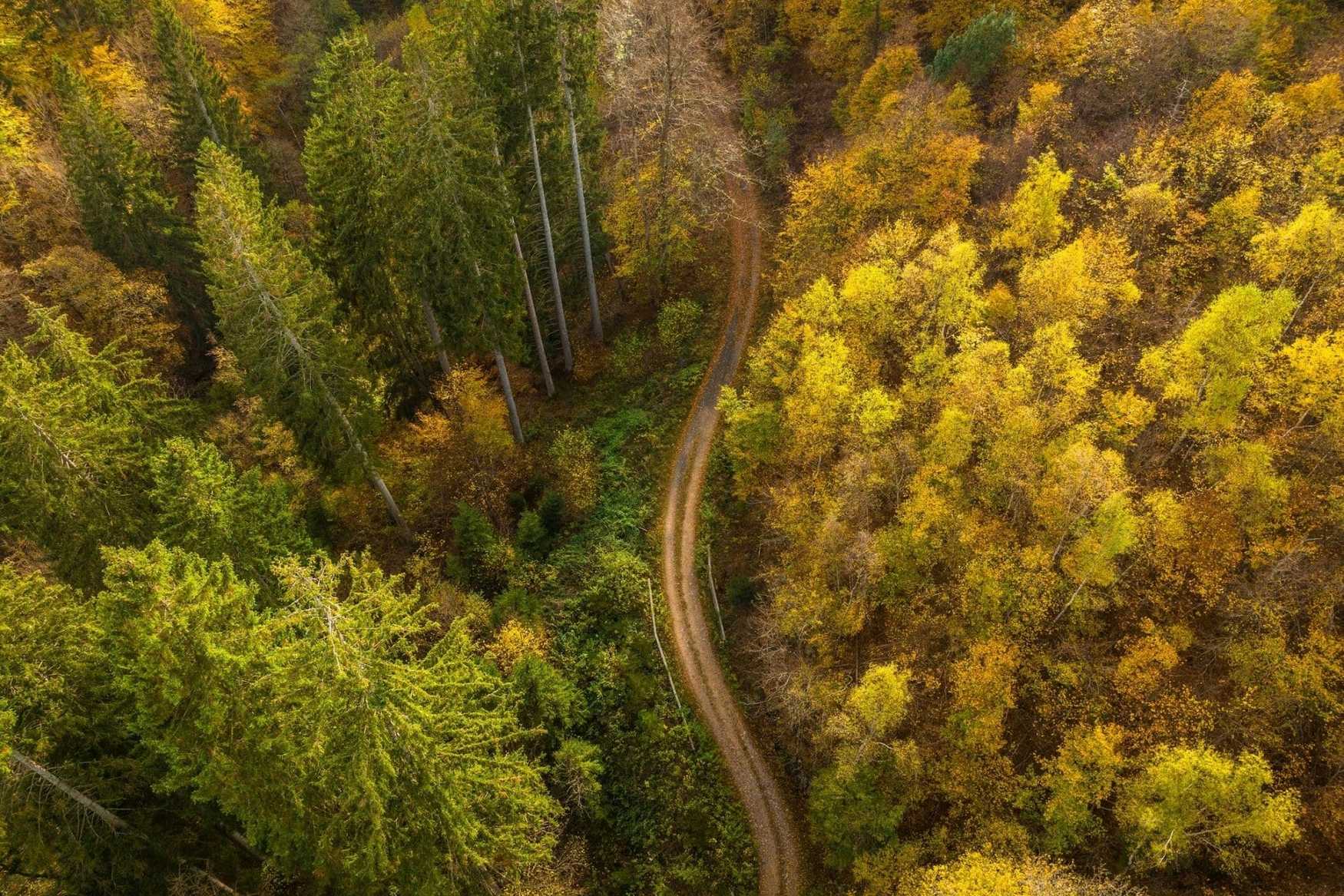 Eifel National Park