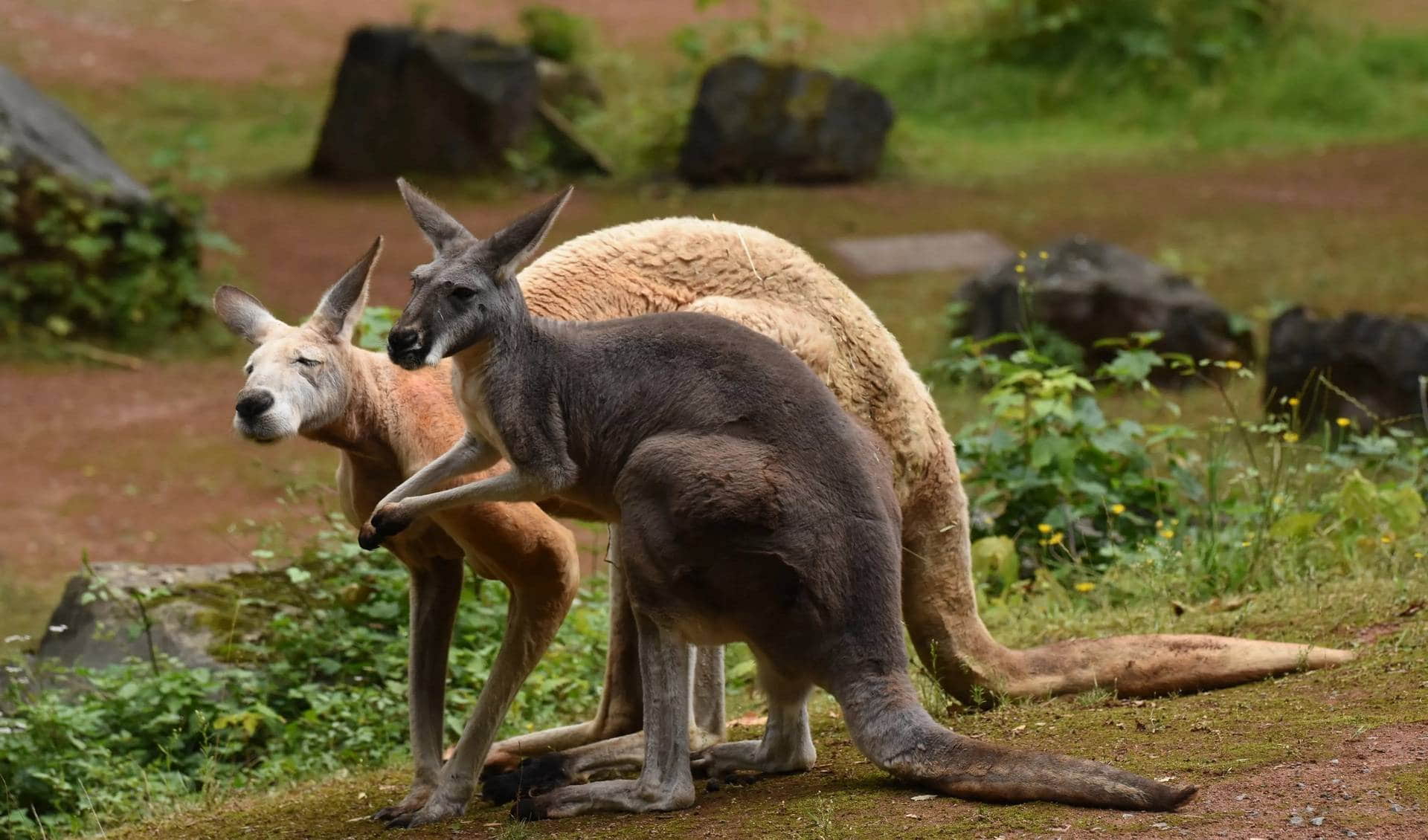 Erlebnis Zoo Hannover