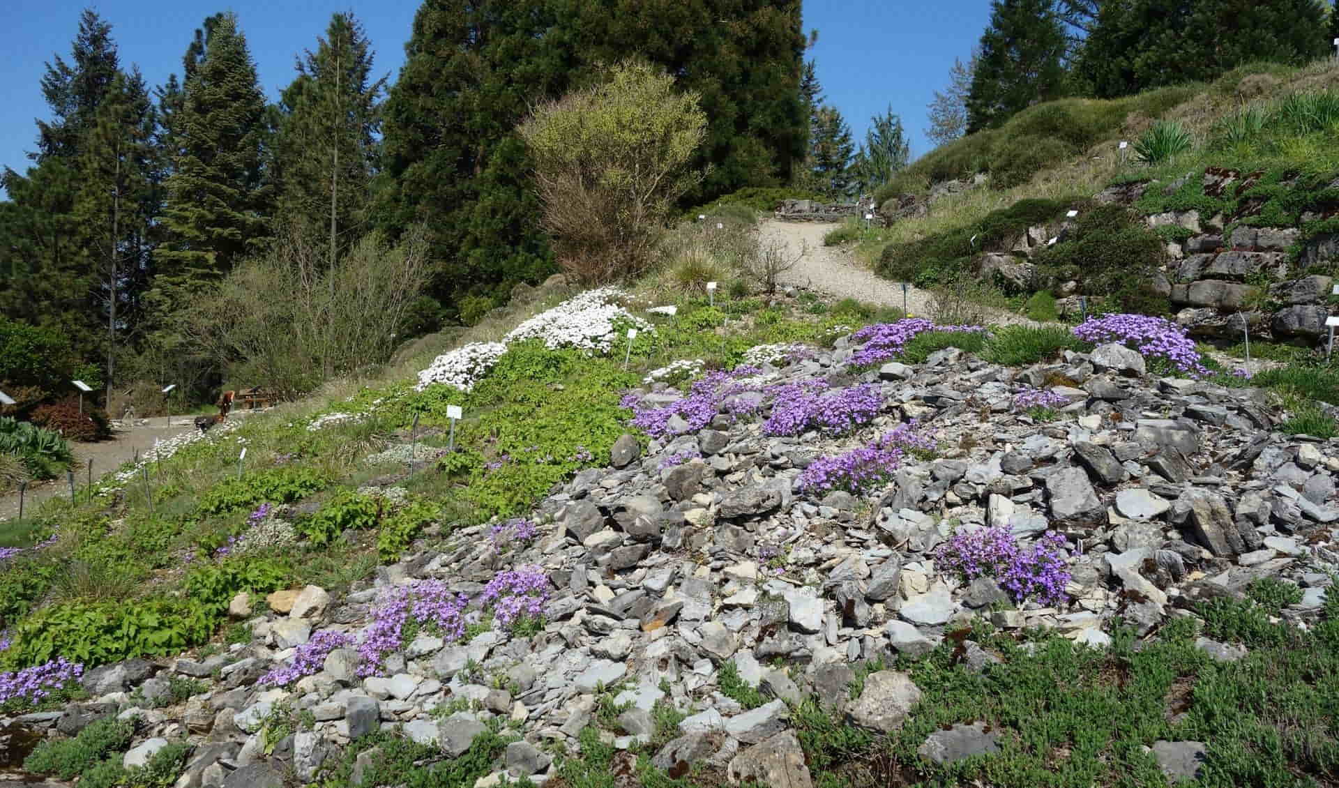 Experimental Botanical Garden