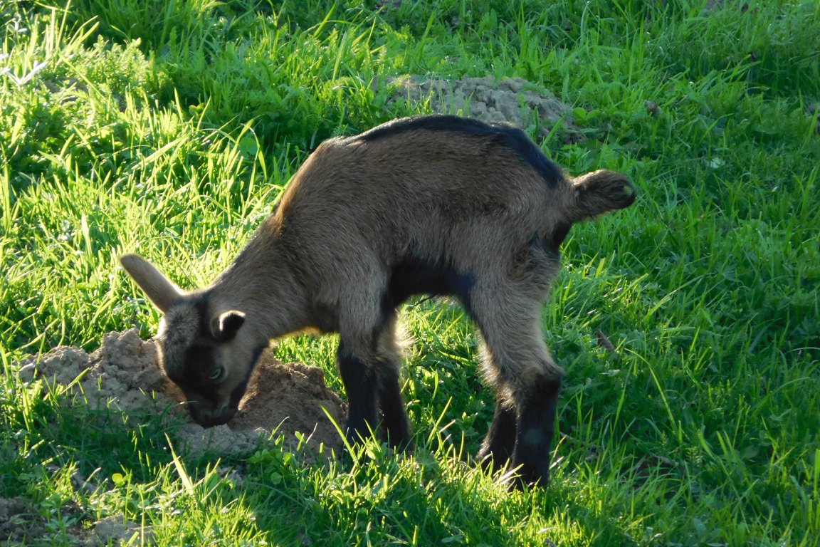 Otakarova Farma фото 1