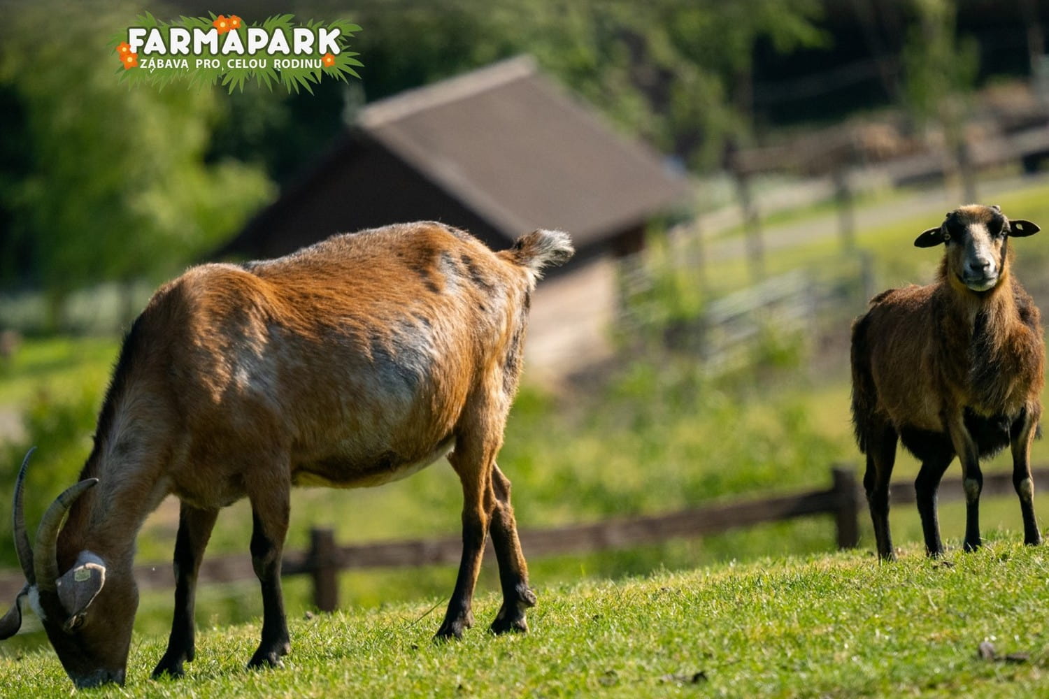 Farmapark Sobehrdy photo 1