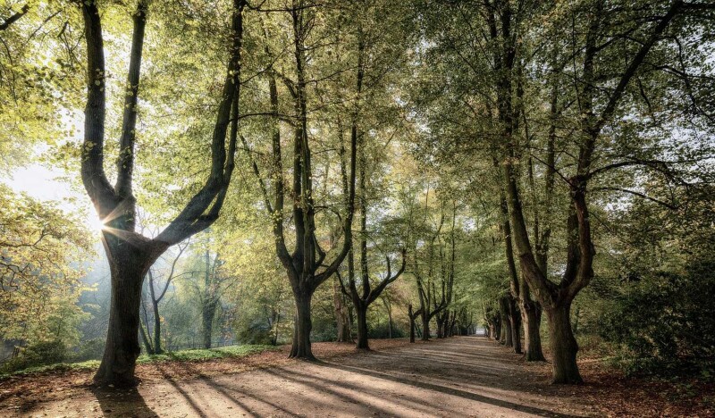 French Broad River Park