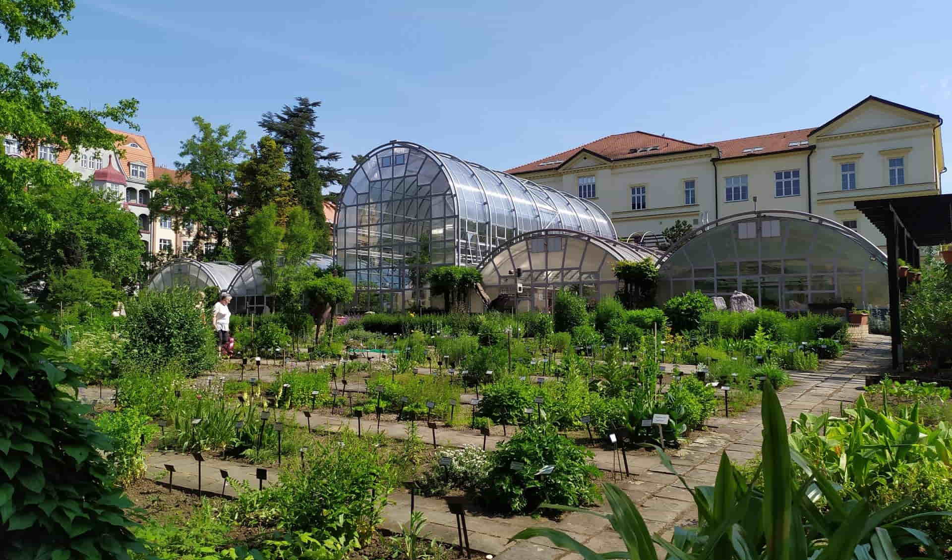 Botanical Garden of the Faculty of Science - Masaryk University