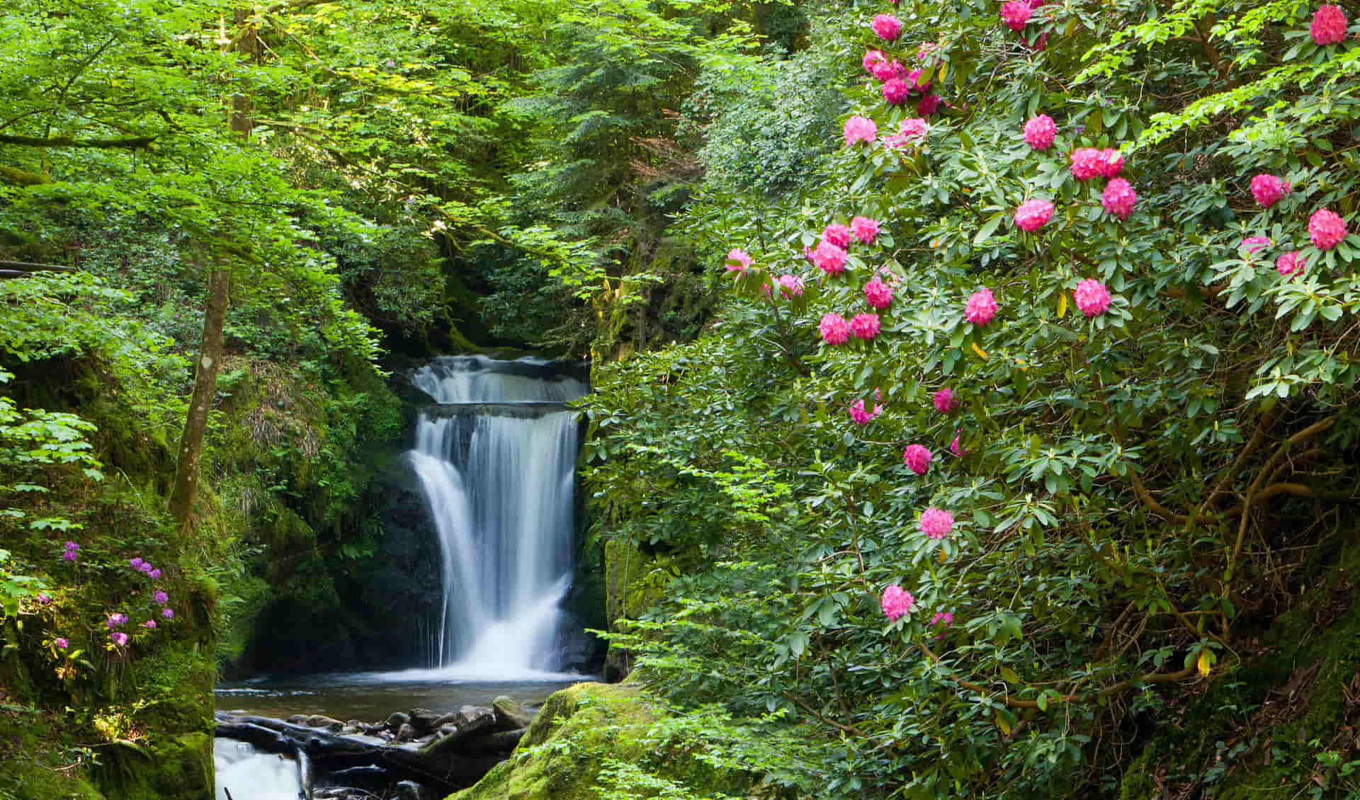 Geroldsau Waterfall