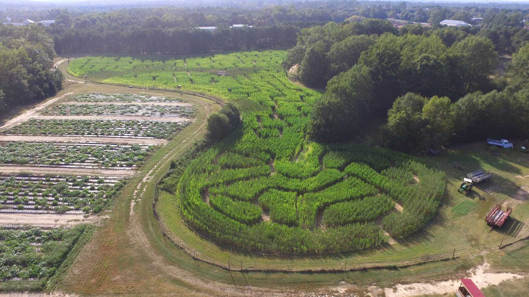 Hall Family Farm