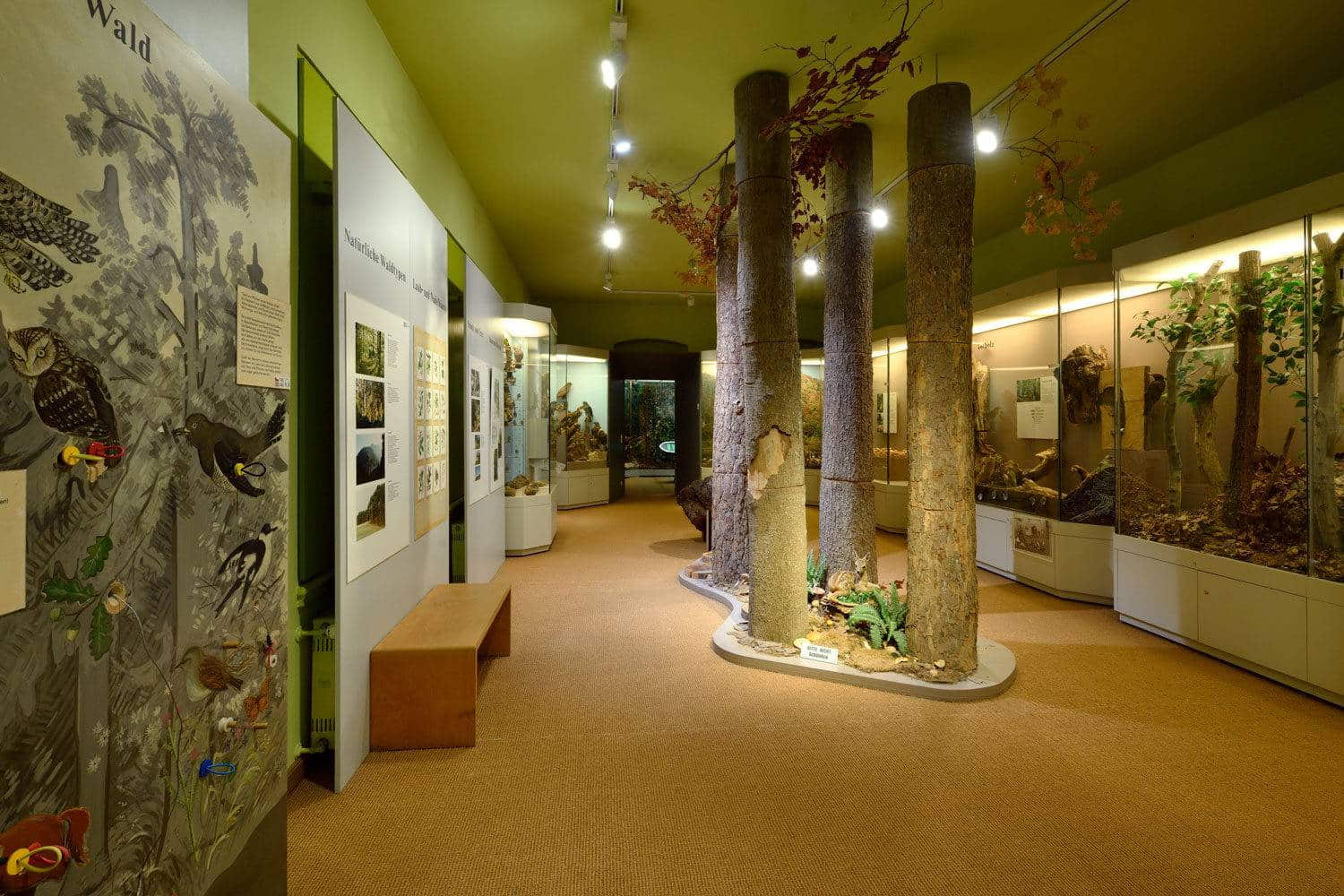 Natural History Museum of Eastern Bavaria