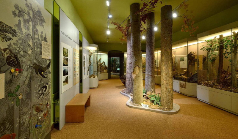 Natural History Museum of Eastern Bavaria